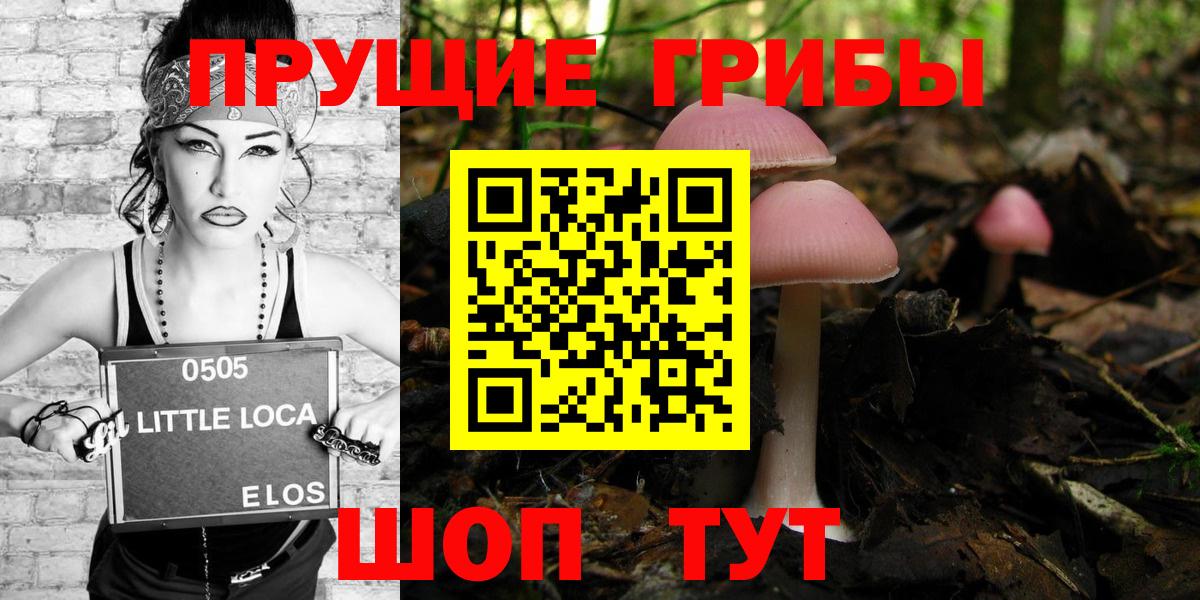 Псилоцибиновые грибы GOLDEN TEACHER  Галлюциногенные грибы Cubensis  Трёхгорный  Вход с VPN 